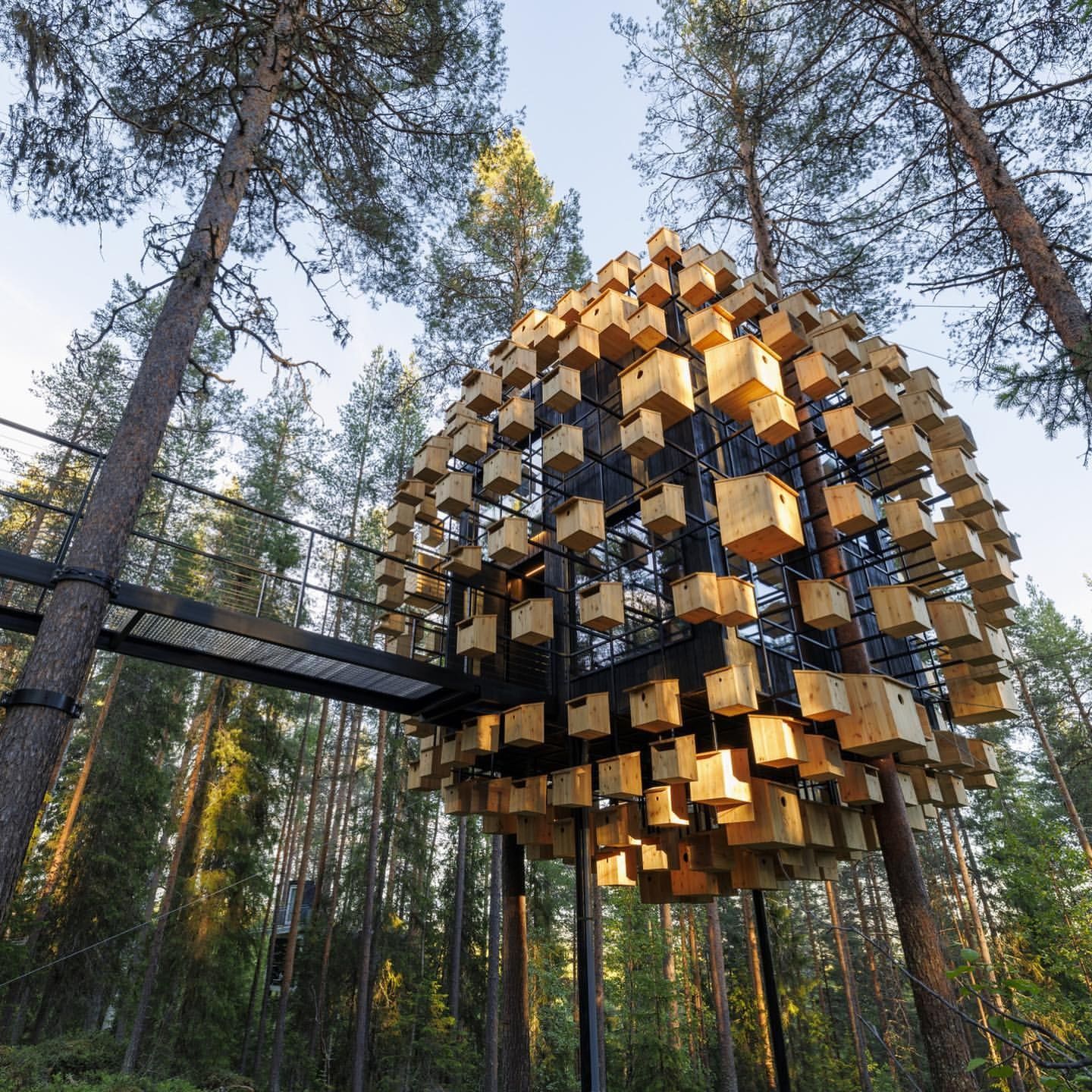 Unique hotels: Tree Hotel, Sweden,